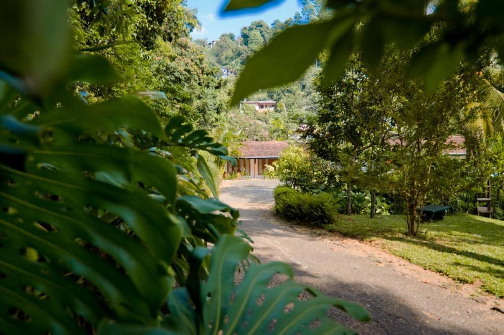 Clove Garden Kandy Eksteriør billede