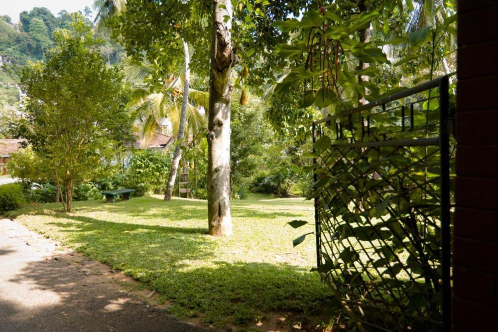 Clove Garden Kandy Eksteriør billede